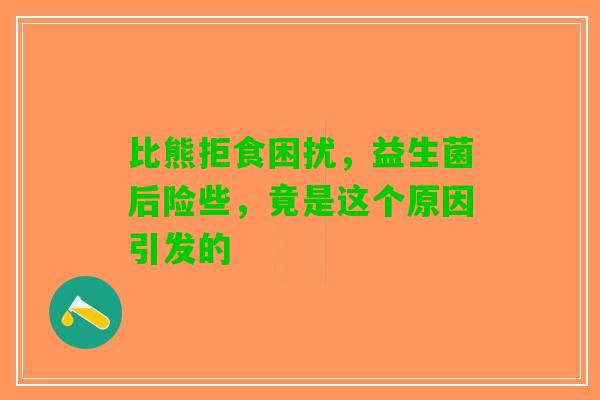 比熊拒食困扰，益生菌后险些，竟是这个原因引发的