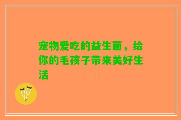 宠物爱吃的益生菌，给你的毛孩子带来美好生活