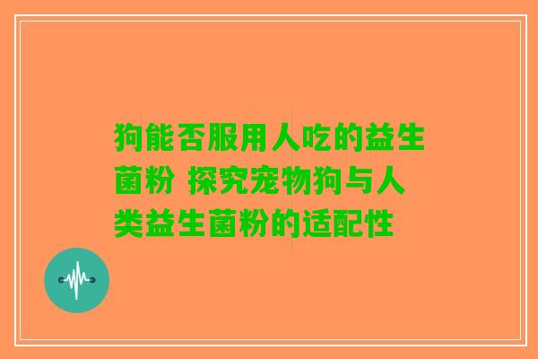狗能否服用人吃的益生菌粉 探究宠物狗与人类益生菌粉的适配性