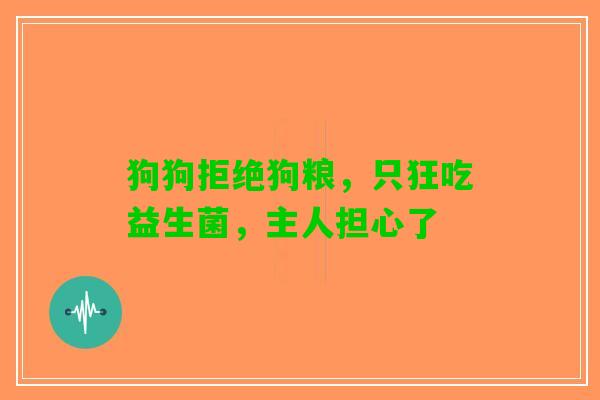 狗狗拒绝狗粮，只狂吃益生菌，主人担心了