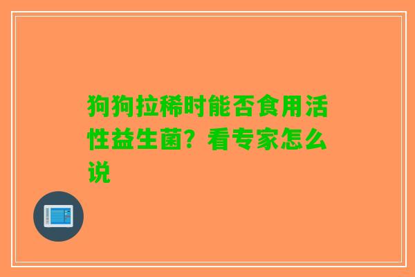 狗狗拉稀时能否食用活性益生菌？看专家怎么说