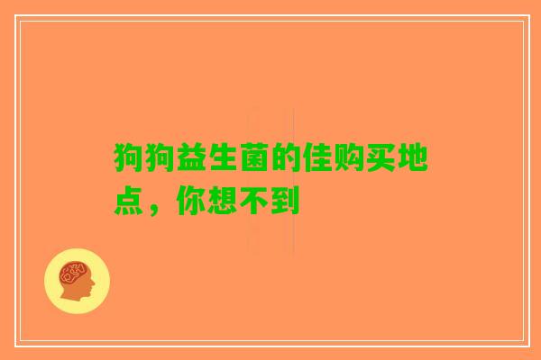 狗狗益生菌的佳购买地点，你想不到