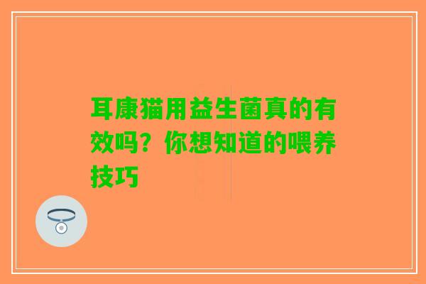 耳康猫用益生菌真的有效吗？你想知道的喂养技巧