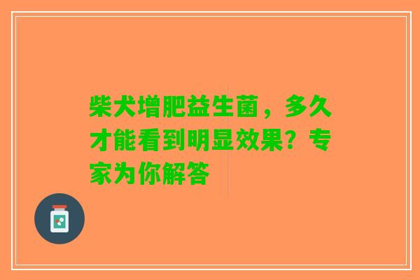 柴犬增肥益生菌，多久才能看到明显效果？专家为你解答