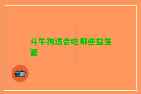 斗牛狗适合吃哪些益生菌