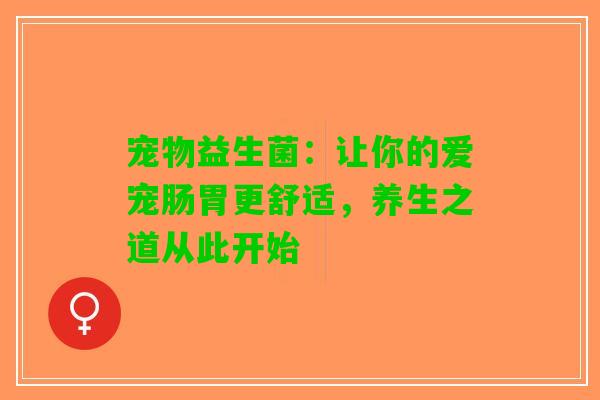 宠物益生菌：让你的爱宠肠胃更舒适，养生之道从此开始
