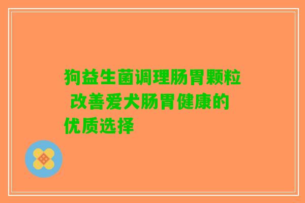狗益生菌调理肠胃颗粒 改善爱犬肠胃健康的优质选择