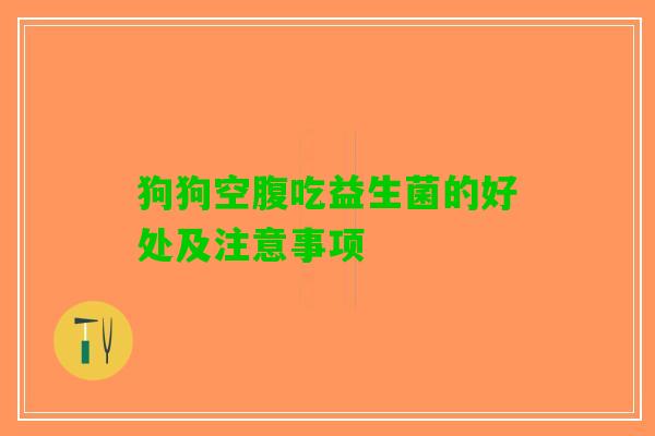 狗狗空腹吃益生菌的好处及注意事项