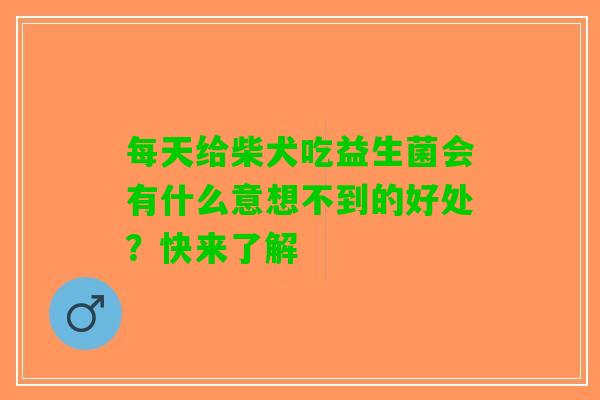 每天给柴犬吃益生菌会有什么意想不到的好处？快来了解