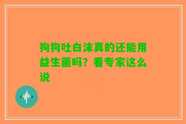 狗狗吐白沫真的还能用益生菌吗？看专家这么说