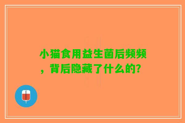 小猫食用益生菌后频频，背后隐藏了什么的？