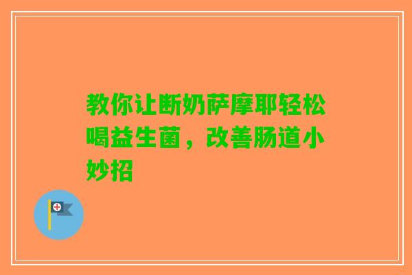 教你让断奶萨摩耶轻松喝益生菌，改善肠道小妙招