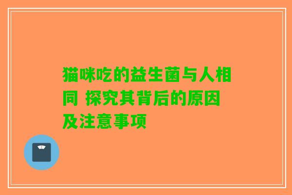猫咪吃的益生菌与人相同 探究其背后的原因及注意事项