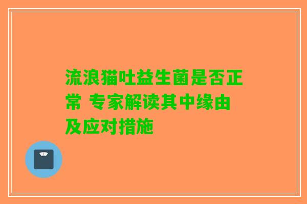 流浪猫吐益生菌是否正常 专家解读其中缘由及应对措施